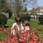 Sanem Yeles