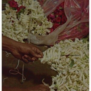 Sanjana Doss Instagram - Some beautiful frames at Malleshwaram Flower market 💓

Idea inspired by @amateurphotoclicker 

#ﬁlmmaking #filmmaker #streetphotographyindia #nammabengaluru #flowerphotoshoot #flowermarket #southindia #movingframes #indianphotostories #southindianphotography