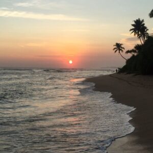 São José Correia Instagram - SRI LANKA