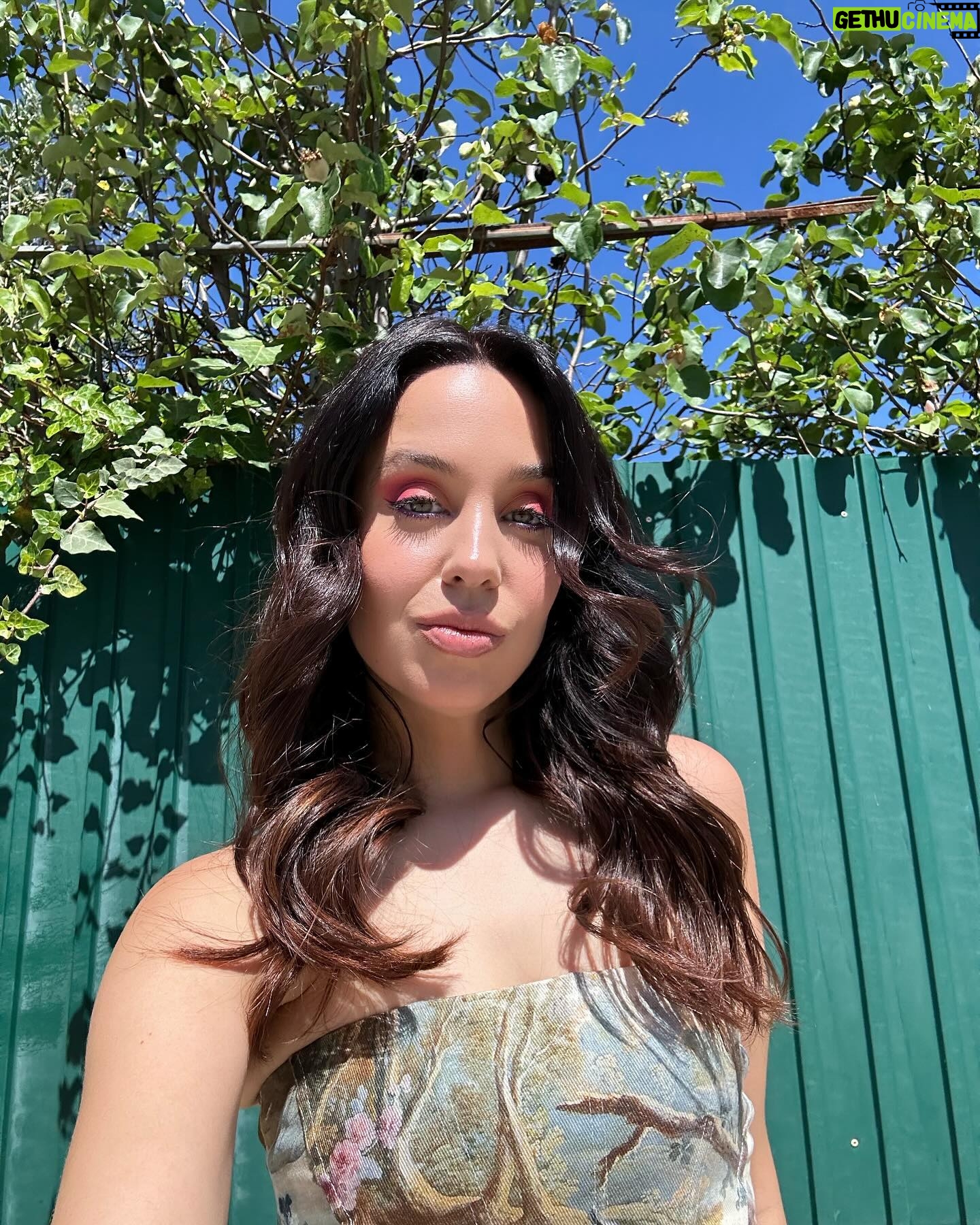 Sara Cecília - 3 Likes - 🦋