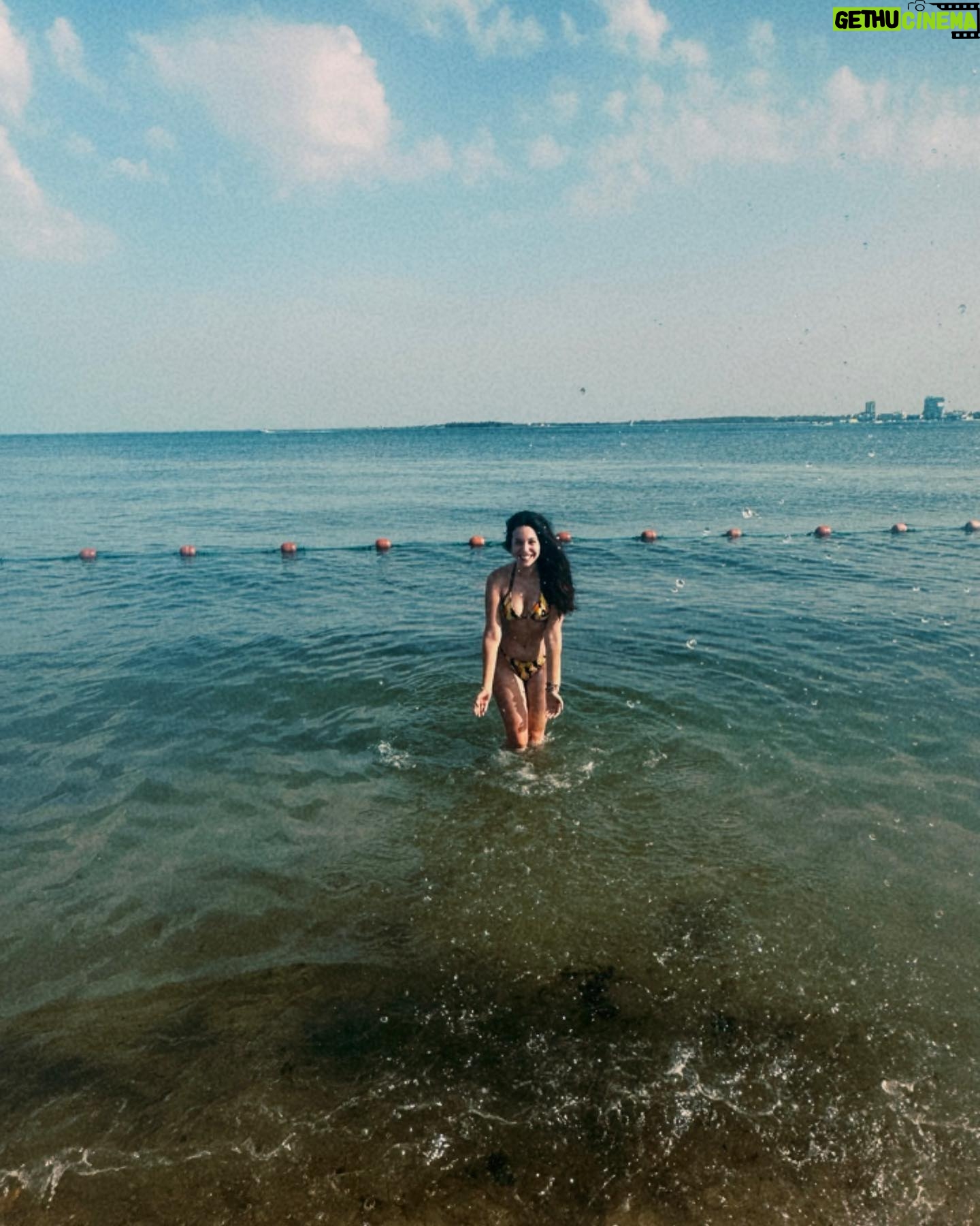 Sara Cecília - 3 Likes - 🐠