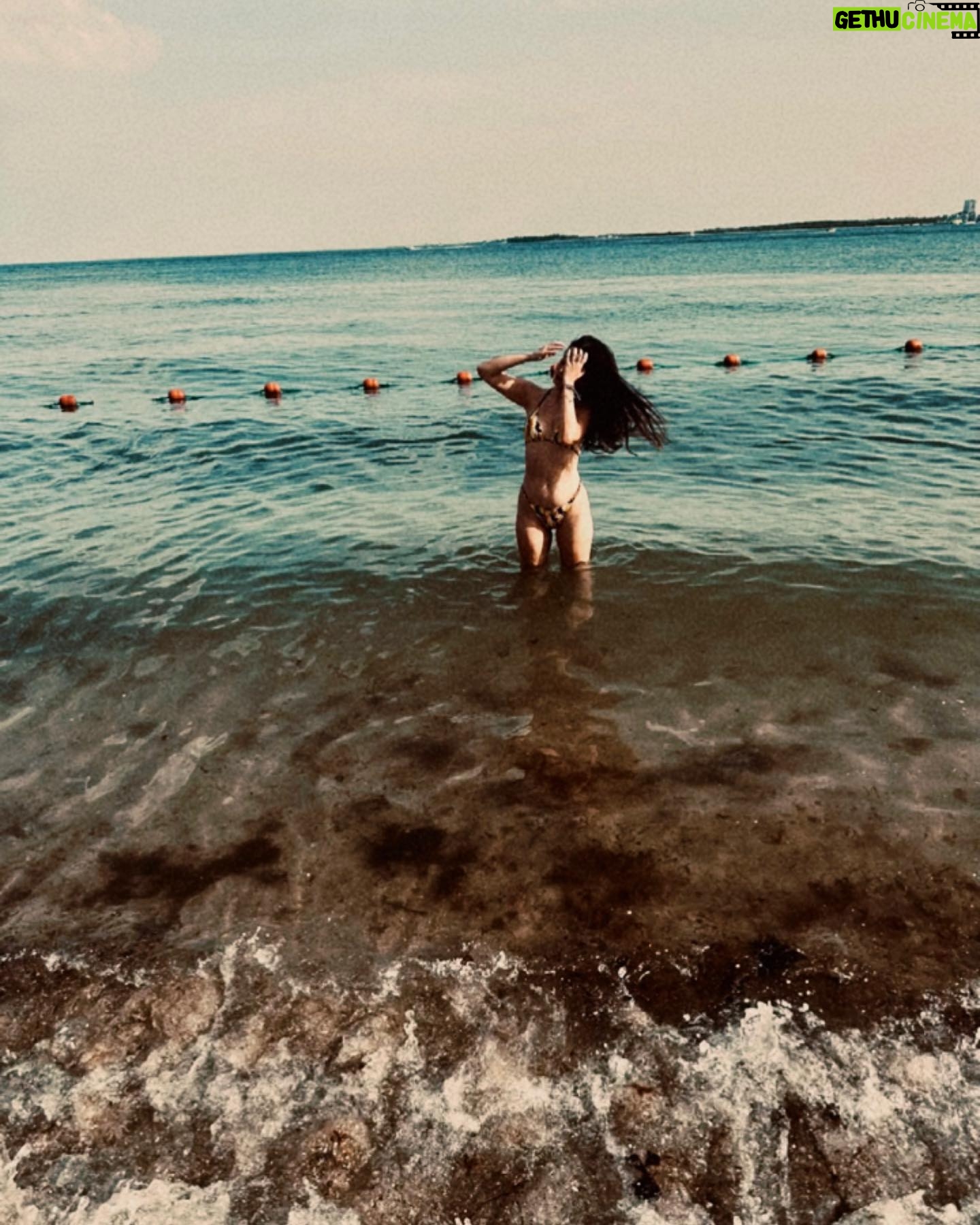 Sara Cecília - 3 Likes - 🐠