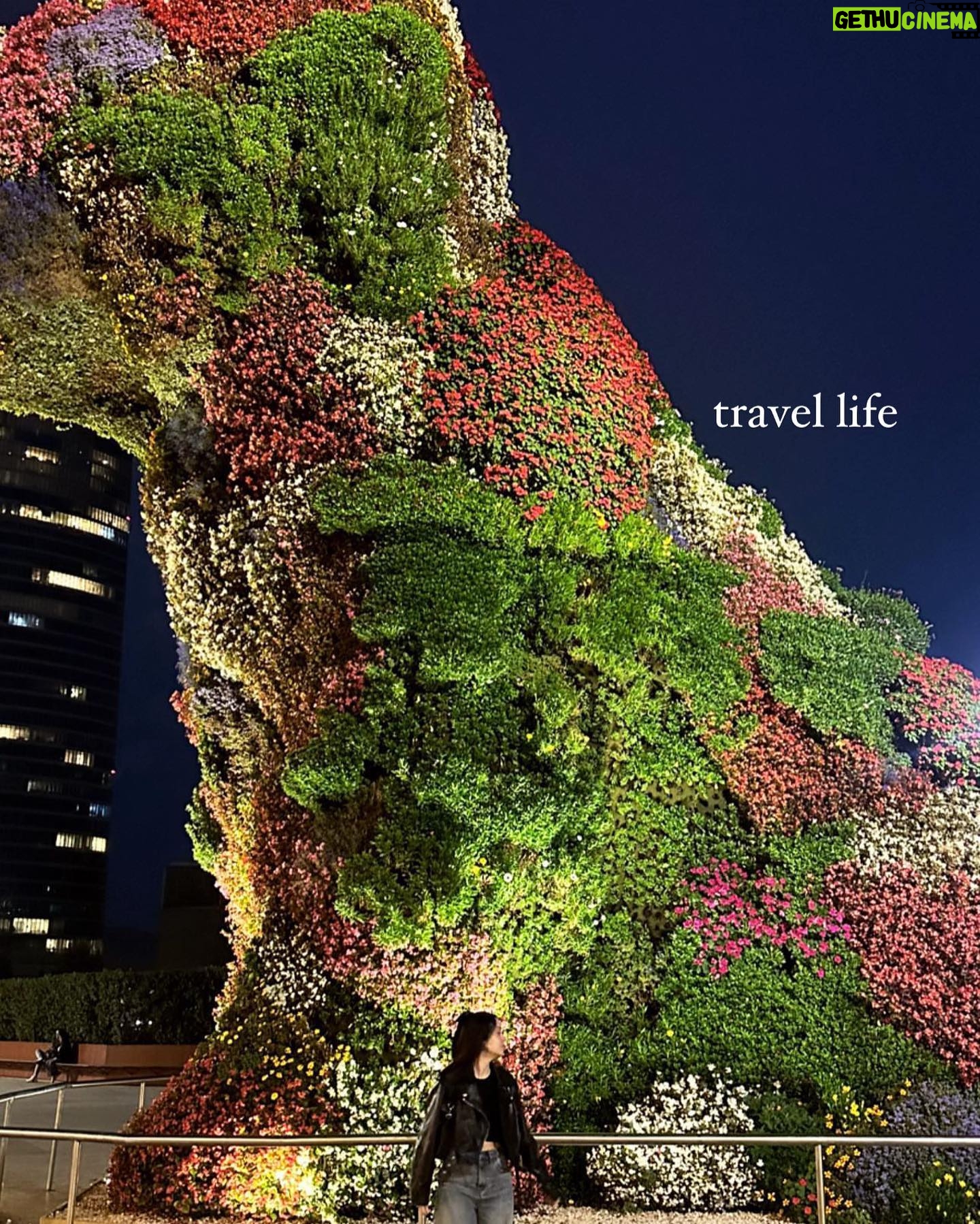 Sara Cecília - 3 Likes - life lately (at least the good things)