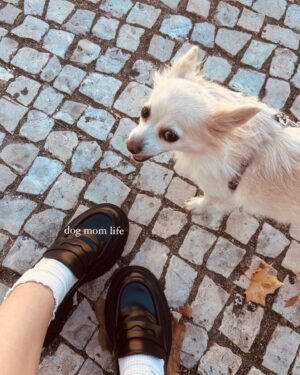 Sara Cecília Instagram - life lately (at least the good things)