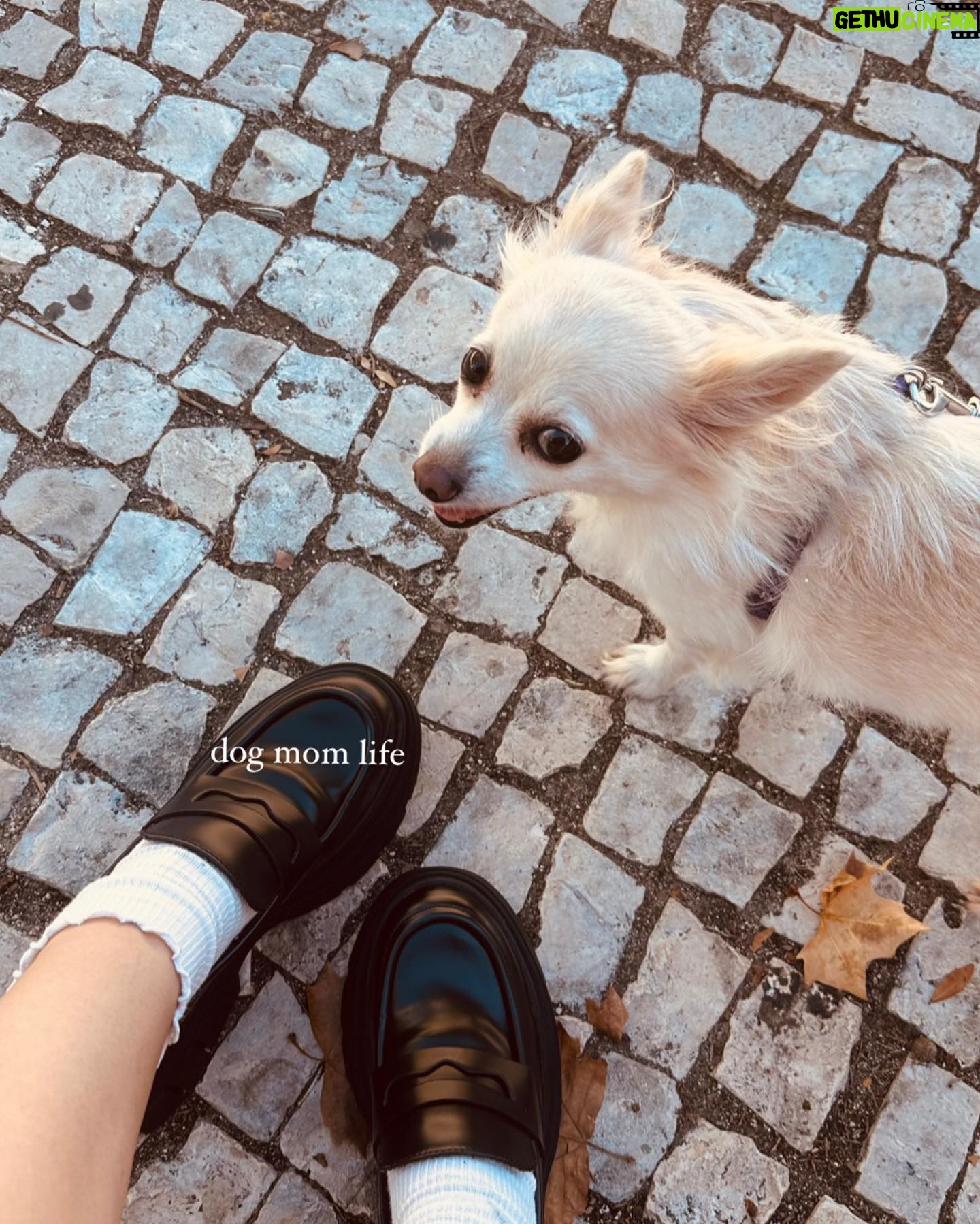 Sara Cecília - 3 Likes - life lately (at least the good things)