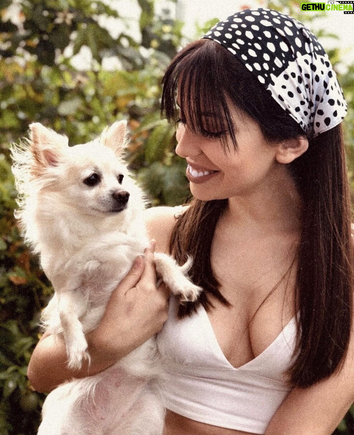 Sara Cecília - 3 Likes - 10 anos de amor em 10 fotos, e parece que foi ontem que te fui buscar e que te dei colo pela primeira vez ❤️ Parabéns minha Pipoca ❤️
