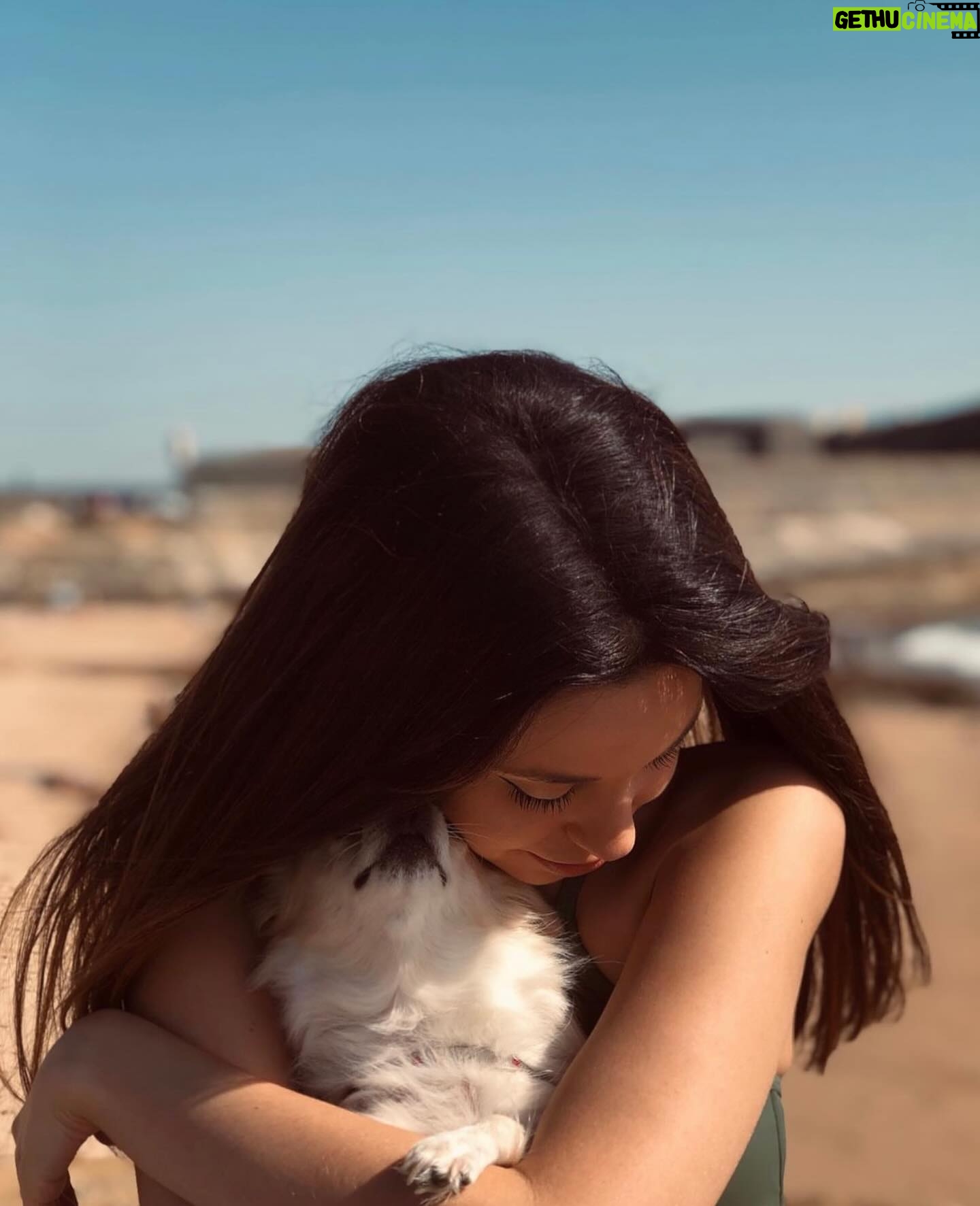 Sara Cecília - 3 Likes - 10 anos de amor em 10 fotos, e parece que foi ontem que te fui buscar e que te dei colo pela primeira vez ❤️ Parabéns minha Pipoca ❤️