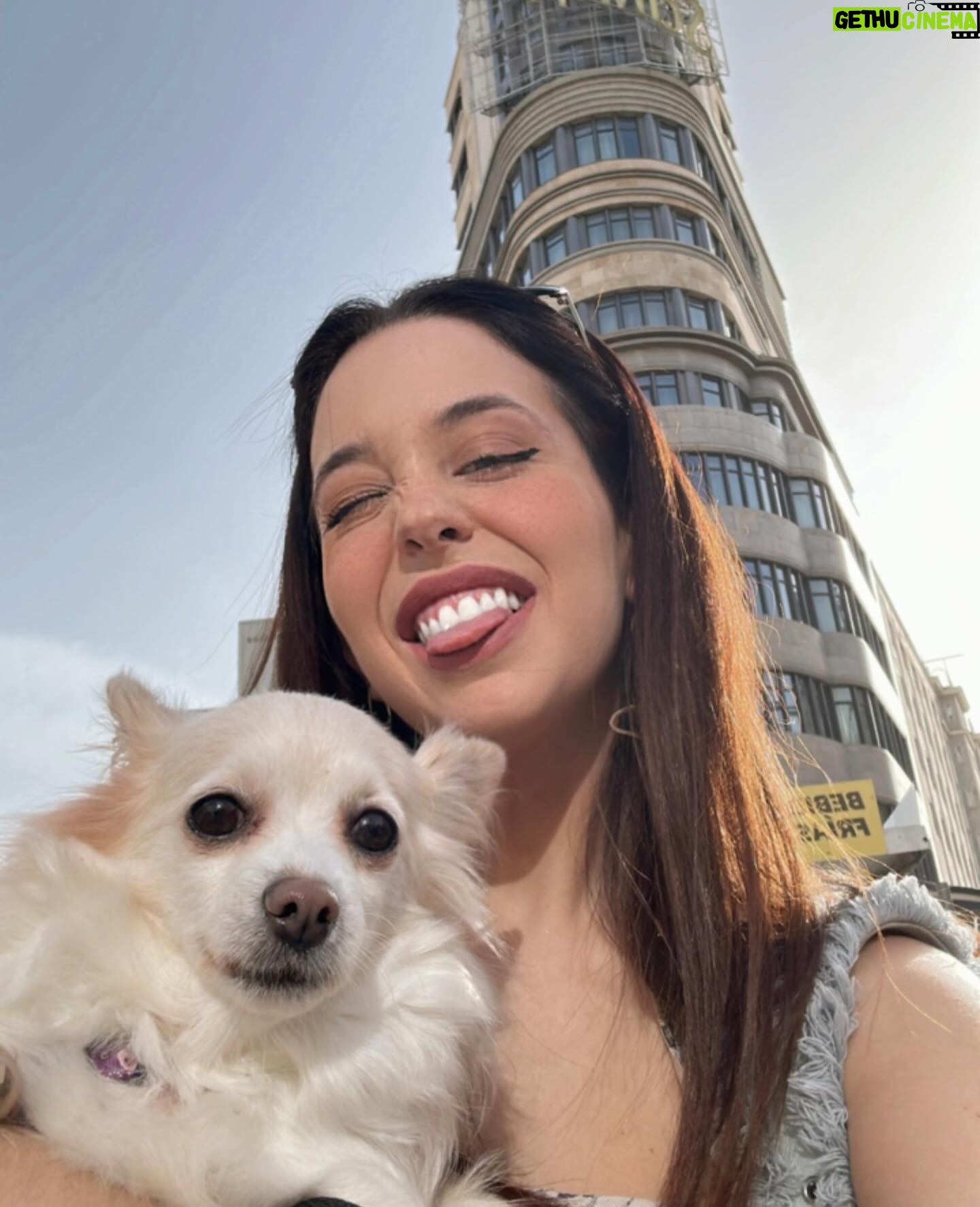 Sara Cecília - 3 Likes - 10 anos de amor em 10 fotos, e parece que foi ontem que te fui buscar e que te dei colo pela primeira vez ❤️ Parabéns minha Pipoca ❤️