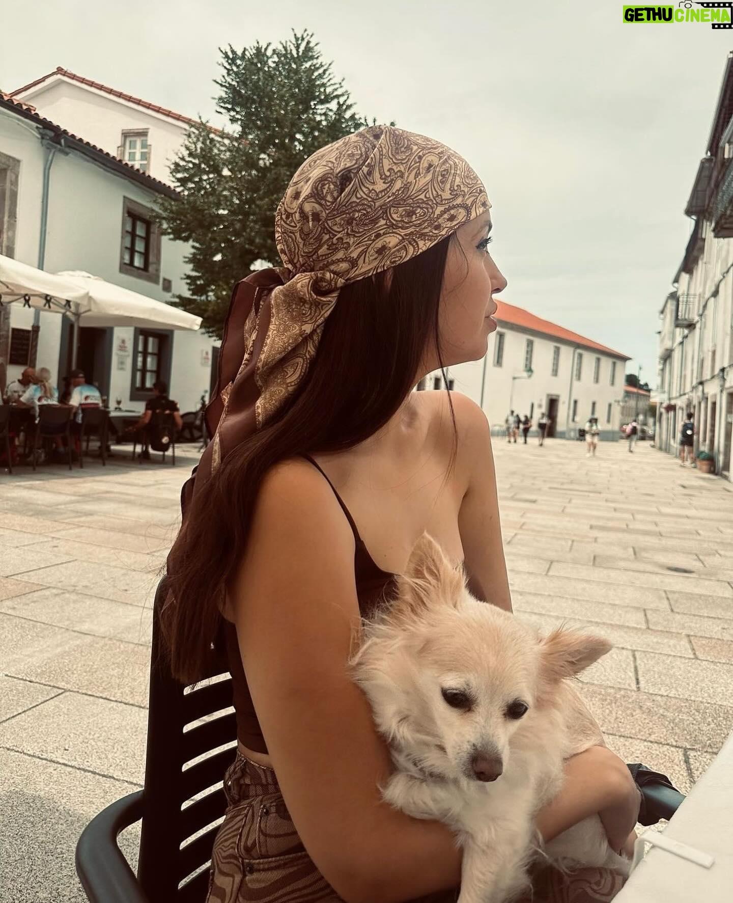 Sara Cecília - 3 Likes - 10 anos de amor em 10 fotos, e parece que foi ontem que te fui buscar e que te dei colo pela primeira vez ❤️ Parabéns minha Pipoca ❤️