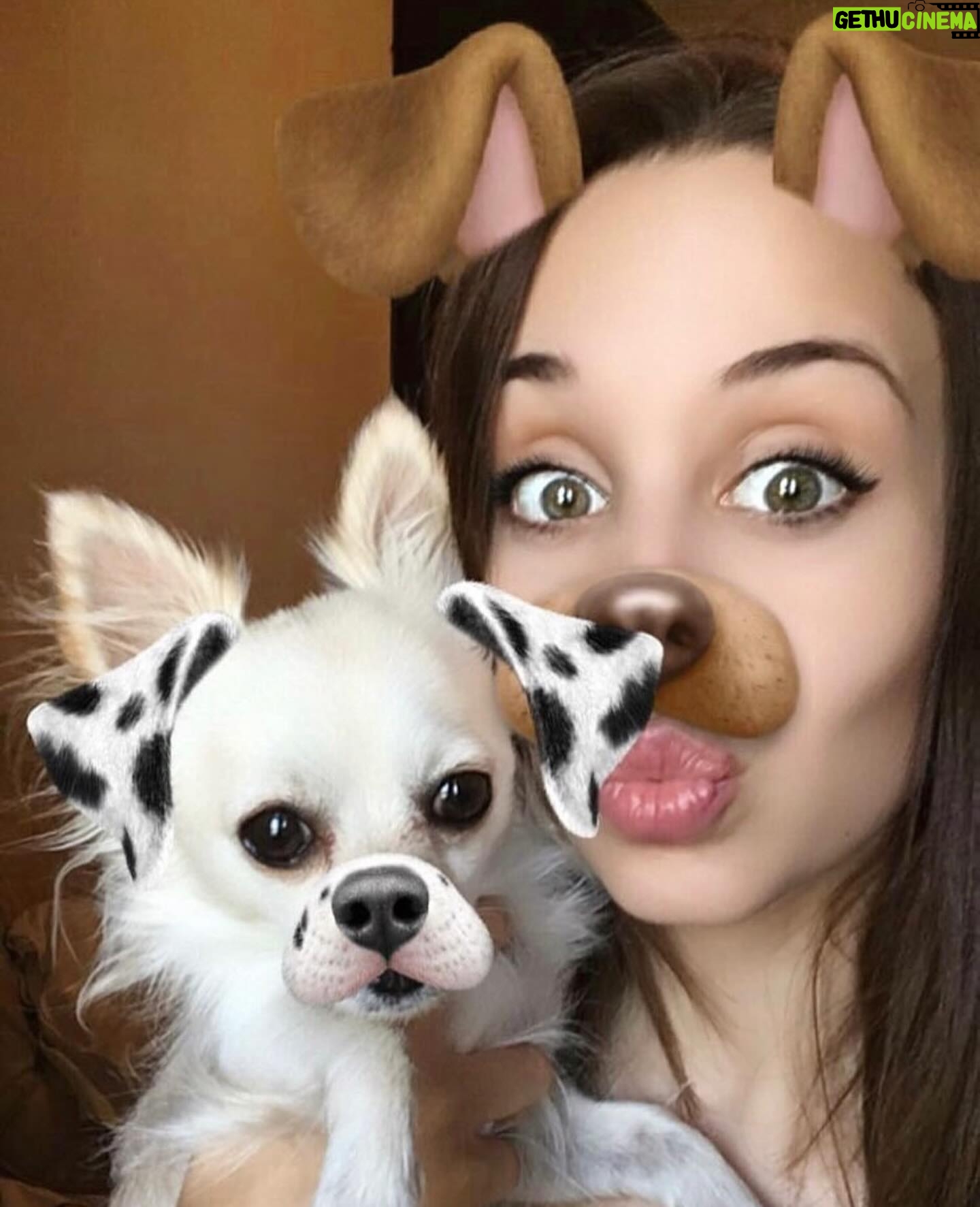 Sara Cecília - 3 Likes - 10 anos de amor em 10 fotos, e parece que foi ontem que te fui buscar e que te dei colo pela primeira vez ❤️ Parabéns minha Pipoca ❤️