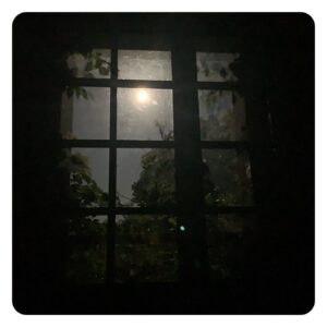 Sara Martins Instagram - Yesterday 
Full moon at my window 
#nofilter #renewal #insomniac #nature