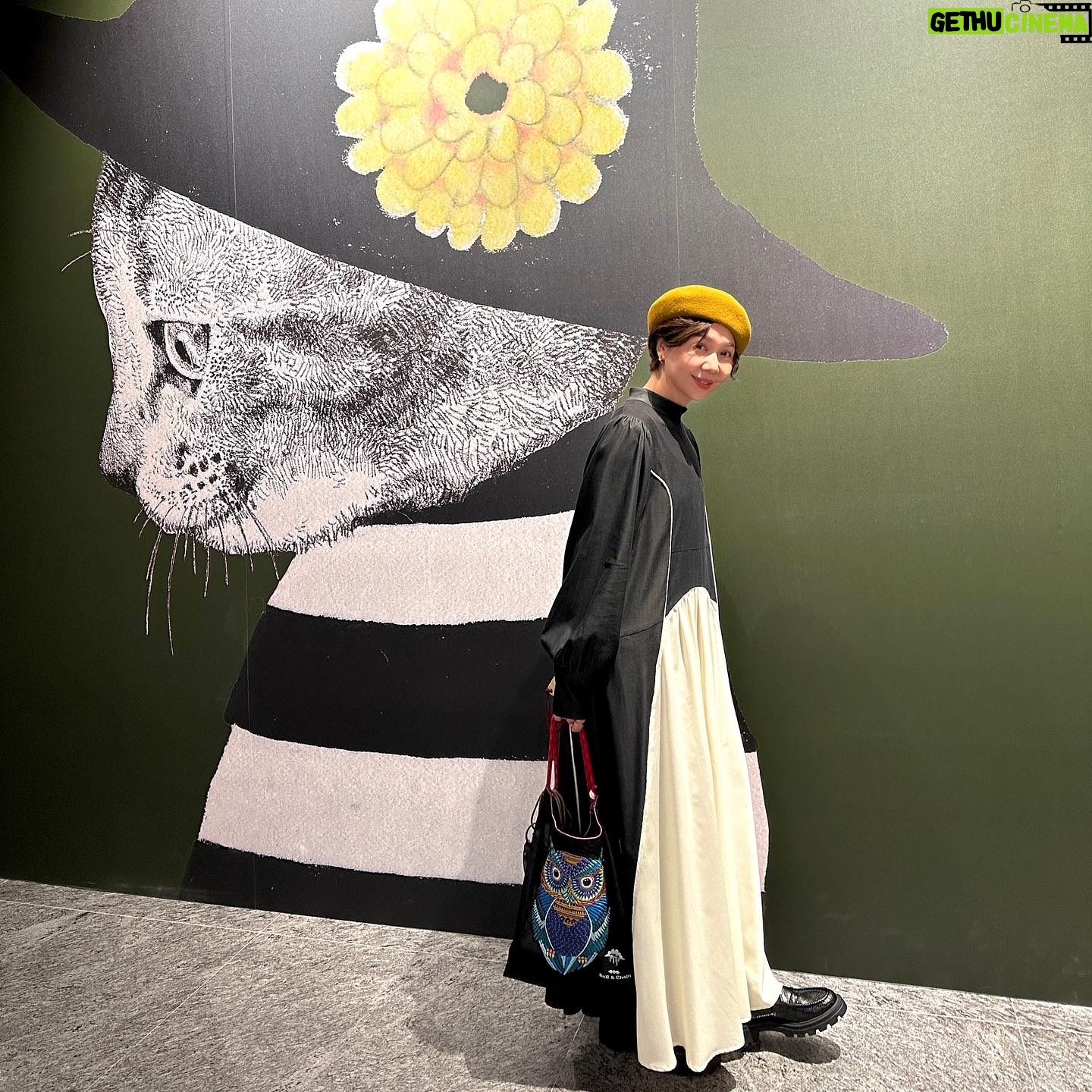 Sara Yu - 603 Likes - 日本超人氣畫家「樋口裕子」
繪畫展
主題:奇幻動物森林🐱🦜🍄
充滿期待和想像力的探險之旅
展覽除了有畫作、繪本、海報設計及不同形式的呈現方式,數量多到無法無天(真的不誇張,因為他真的嚴重誇張🤣)
總之~你一定要去現場看看
就會明白我為何如此驚訝😱
展覽地點:中正紀念堂2、3展廳
畫展期限:2023/12月2024/4/7
有空來趟奇幻旅程吧!
#奇幻動物森林
#樋口裕子
#愛貓人士會瘋狂
#想認識他