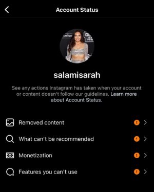 Sarah Alami Instagram - My account is no longer able to reach viewers. @meta is trying to silence us for showing the world what is happening. My people are being ethnically cleansed and my goal is not to reach those who follow me but to reach an outside audience who are still ignoring what is happening in #rafah . What else am I supposed to do? You can only commit these crimes but you can’t show what is being committed