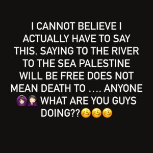 Sarah Alami Instagram - Who is coming up with these talking points? Did they not know what free from segregation, occupation and brutal violence is? If it was happening to you do you think calling for freedom meant to kill everyone🙆🏻‍♀️ Do you think during the civil rights movement that Black people wanted all the White people dead? They wanted to be treated as equals. Society has gone wild . Stop telling us Palestinians what we are thinking. Racist ass people out here, just freaking stop already and stop putting words in our mouths bc you are going to look so evil and dumb when this nightmare is over.