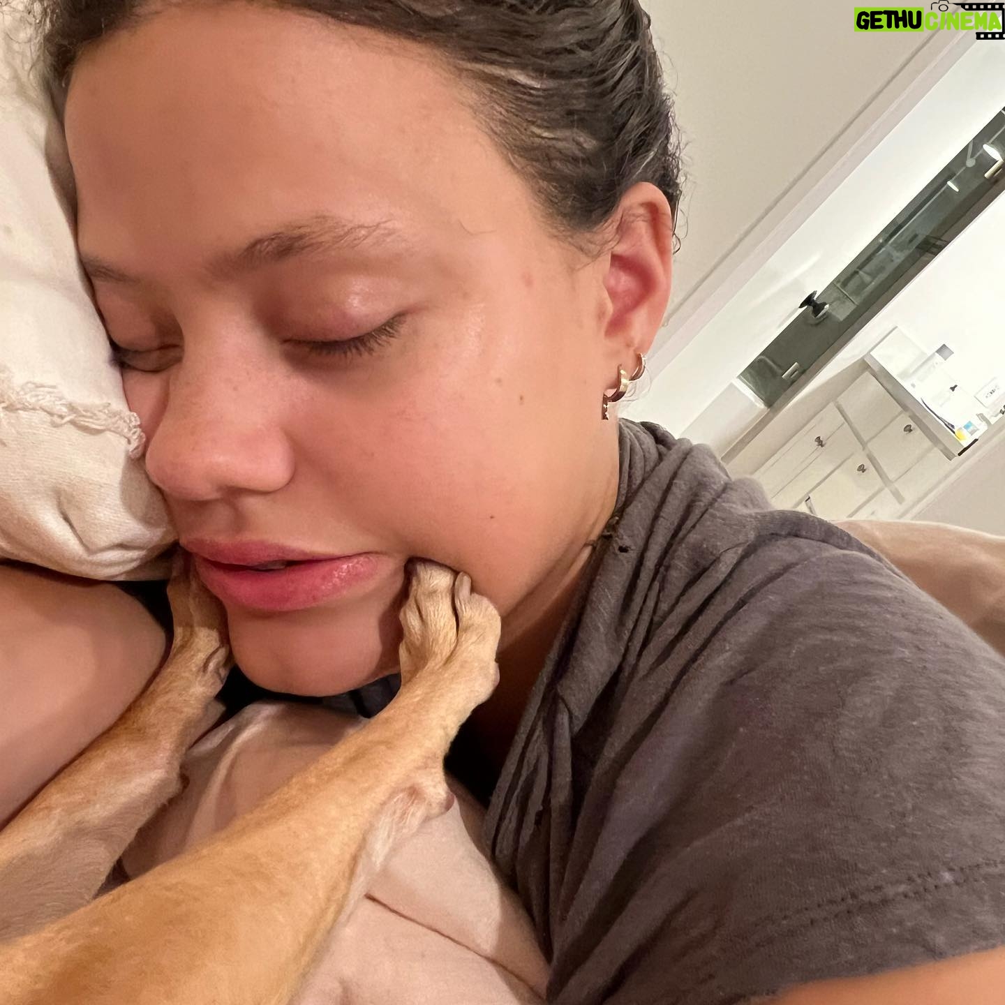 Sarah Jeffery - 3 Likes - creature comforts 🐥