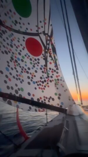 Sarah Morris Instagram - Art has utility. My spinnaker @borisherrmannracing @theoceanrace @team_malizia