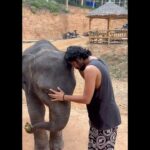 Saran Shakthi