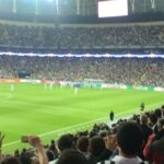 Sarp Apak
