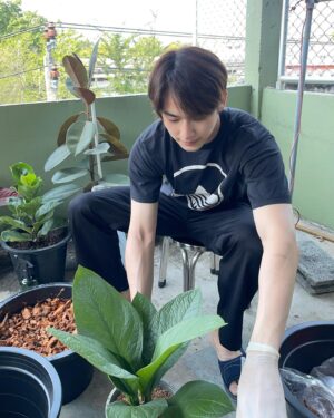 Sarunsathorn Tanawatcharawat Instagram - Happy valentine day 💚 
มาปลูกต้นรักด้วยกันไหม🥰
