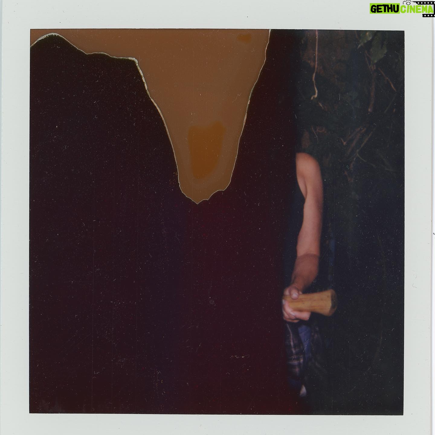 Sasha Frolova - 3 Likes - Chapter 1 Polaroids
1. In a mad dash late one July eve Erin acquired this 1985 Chevy pick up truck. She doesnāt have a name still but sheās teaching us both how to āØtake up spaceāØ
2. Keys, yay! House, yay!
3. Covered in calamine head to toe after an overzealous rendez vous with the hedger and some poison ivy. A bit grumpy after a quick cry and a desperate attempt to scrub Zanfel on my arms and thighs in a deli bathroom that, just my luck, had water that smelled like sulphur.
4. Judging by his big strong muscles you may have already anticipated how helpful he was and is. Zack dusted with egg sacks and cobwebs after he and Erin finished taking off the last of the vinyl siding.
5. Erin and Mr. Groundhog wave goodbye before their quick vacation to a field 15 miles away from the house.
6. Erin, Patrick and Enya. First family visit and the first time I was alone at the house. I scraped a dead mouse carcass out of an inch of grease in the stovetop and almost passed out.
7. Erinās mom, Diane, wielding my favorite poison ivy chopping axe in front of what she identified as the most massive ancient wisteria vine of all time. You must use your imagination on this one (thanks polaroid) but itās all there.
8. My mama and stepdad come through for a visit with contagious smiles! Last day with this intriguing paisley wallpaper, which alas had to go. Itās for the best, I promise.
9. Rebekah and our second 30 yard dumpster in under a month. Friendship really makes the world go around.
Polaroids in chronological order