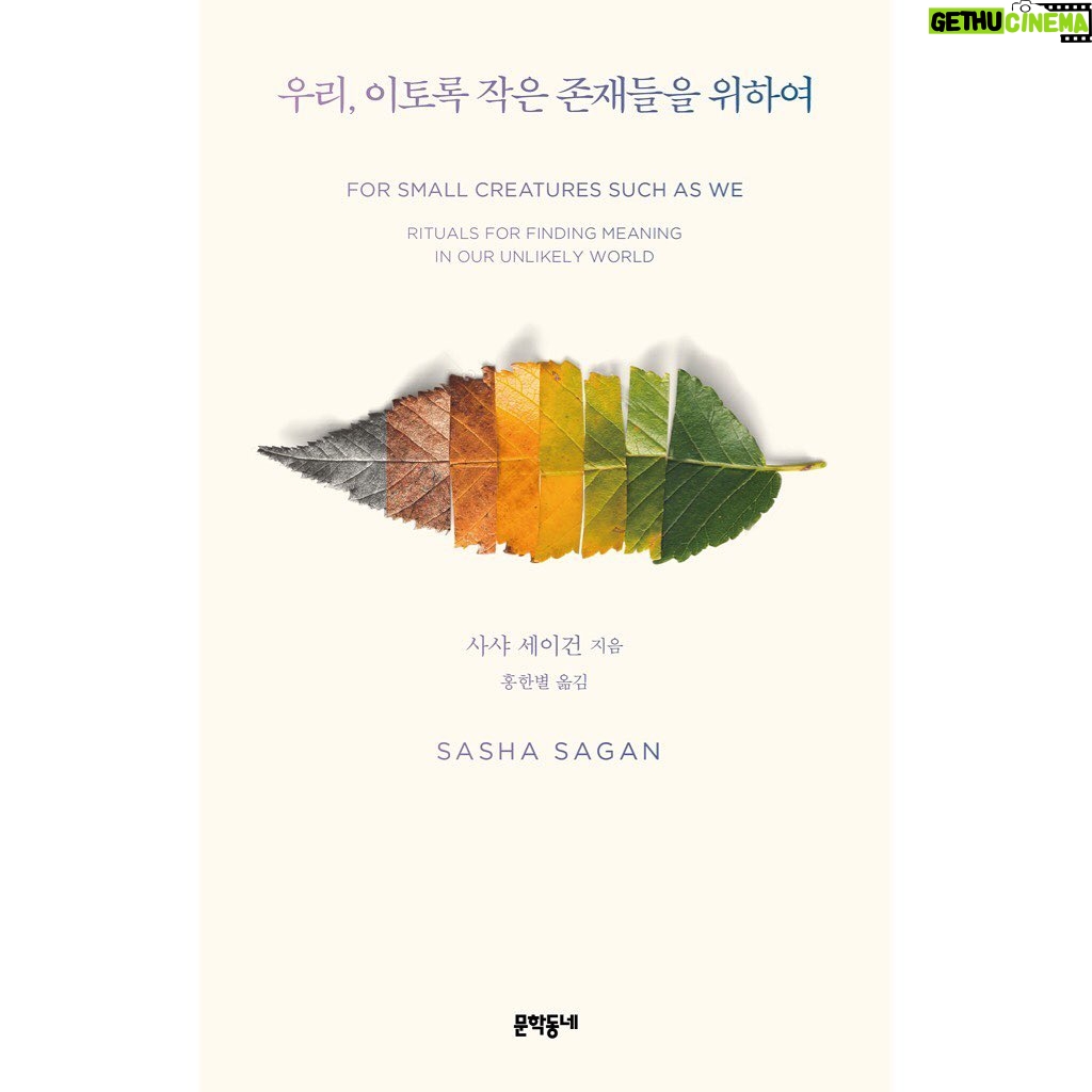 Sasha Sagan - 2.1K Likes - There is something about this image, a cross section of the life of a leaf, that moves me. It’s so simple and poignant. I am thrilled that it happens to be the cover of the Korean edition of #forsmallcreaturessuchaswe, my very first foreign language translation 🌱