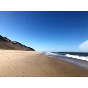 Sasha Sagan Instagram - During our last beach day of the year, my husband turned to me and said, “every time I see someone reading a book I think maybe when we come here next year we’ll see people reading your book”. And suddenly my faint melancholy for the ending of summer lifted and I found that I am unabashedly excited for this autumn.
