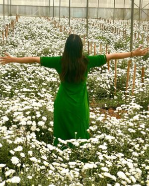 Satna Titus Instagram - Poo Pookum Osai, Athai Ketka than Aasai..!!🕊️💚😍

#peacefullife #naturelovers #gogreen #happyme