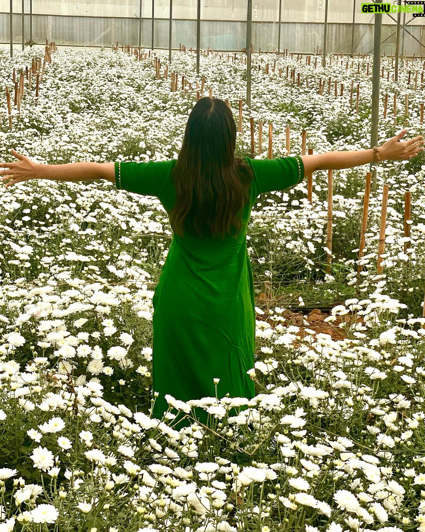 Satna Titus - 1.2K Likes - Poo Pookum Osai, Athai Ketka than Aasai..!!🕊️💚😍
#peacefullife #naturelovers #gogreen #happyme