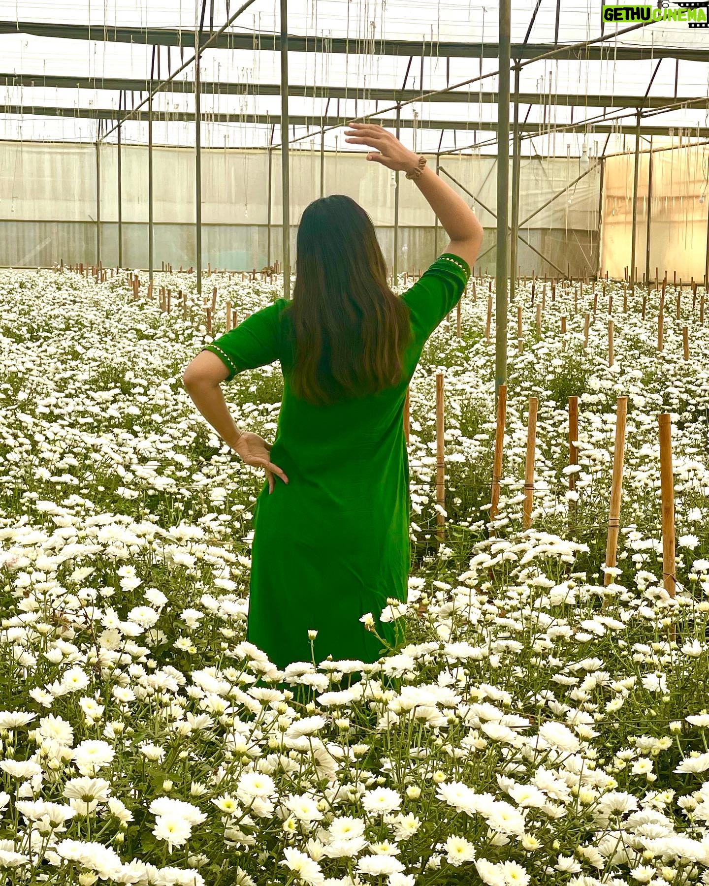 Satna Titus - 1.2K Likes - Poo Pookum Osai, Athai Ketka than Aasai..!!🕊️💚😍
#peacefullife #naturelovers #gogreen #happyme