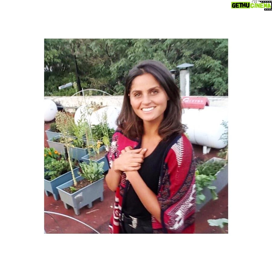 Scarlet Dergal - 1.2K Likes - Cultivar nuestro alimento no sólo disminuye nuestra huella de carbono, o nos da la experiencia de comer orgánico y local. También nos Reeconecta con nuestra Madre Tierra 〰🌎〰. El solo hecho de hablar con una planta o con un árbol genera un puente de comunicación con su conciencia. Nosotros al igual que las células de nuestro cuerpo formamos parte de la tierra. Si nosotros somos células sanas, la tierra está sana. Este es el momento de entender que todos somos uno con el planeta. Uno con el universo. Uno con el t🌀d🌀. Si nuestras células no están conectadas con nuestro cuerpo, nuestro cuerpo se enferma. Lo mismo pasa con nuestra tierra. Hoy, agradecemos 🙏 a la tierrita por todo lo que nos regala, por ser el hogar perfecto para la vida, por ser nuestra madre 🦋. #pachamama #growurownfood #huertourbano 🌎♥️🙏#graciasmadre