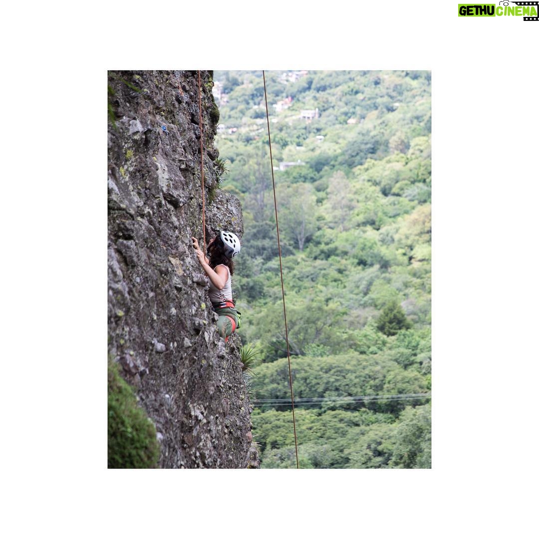 Scarlet Dergal - 562 Likes - 🕷⛰🕸
.
.
.
Want a teacher?
Let a mountain teach you.
A flower... or a Mushroom 🍄.