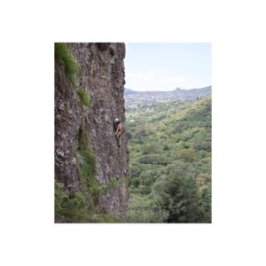 Scarlet Dergal Instagram - 🕷⛰🕸
.
.
.
Want a teacher?
Let a mountain teach you.
A flower... or a Mushroom 🍄.
