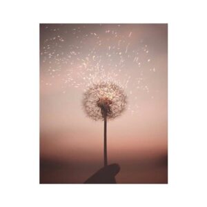Scarlet Dergal Instagram - Somos El todo, y también somos la divina ilusión de que estamos separados.
. “Stop acting so small, you are the universe in ecstatic motion. Set you’re life on fire, seek those who light you’re flames”.
.
.
. - Rumi
#thefloweroflife