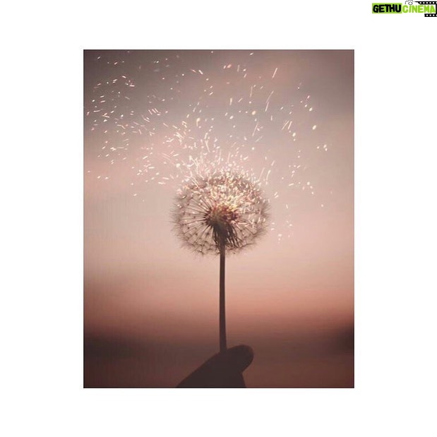 Scarlet Dergal - 511 Likes - Somos El todo, y también somos la divina ilusión de que estamos separados.
. “Stop acting so small, you are the universe in ecstatic motion. Set you’re life on fire, seek those who light you’re flames”.
.
.
. - Rumi
#thefloweroflife