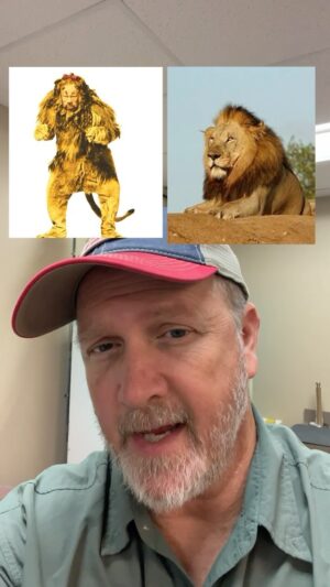 Scott A. Reeder Instagram - The Cowardly Lion #moviecostumes #filmmaking #costumedesigner @propstohistory