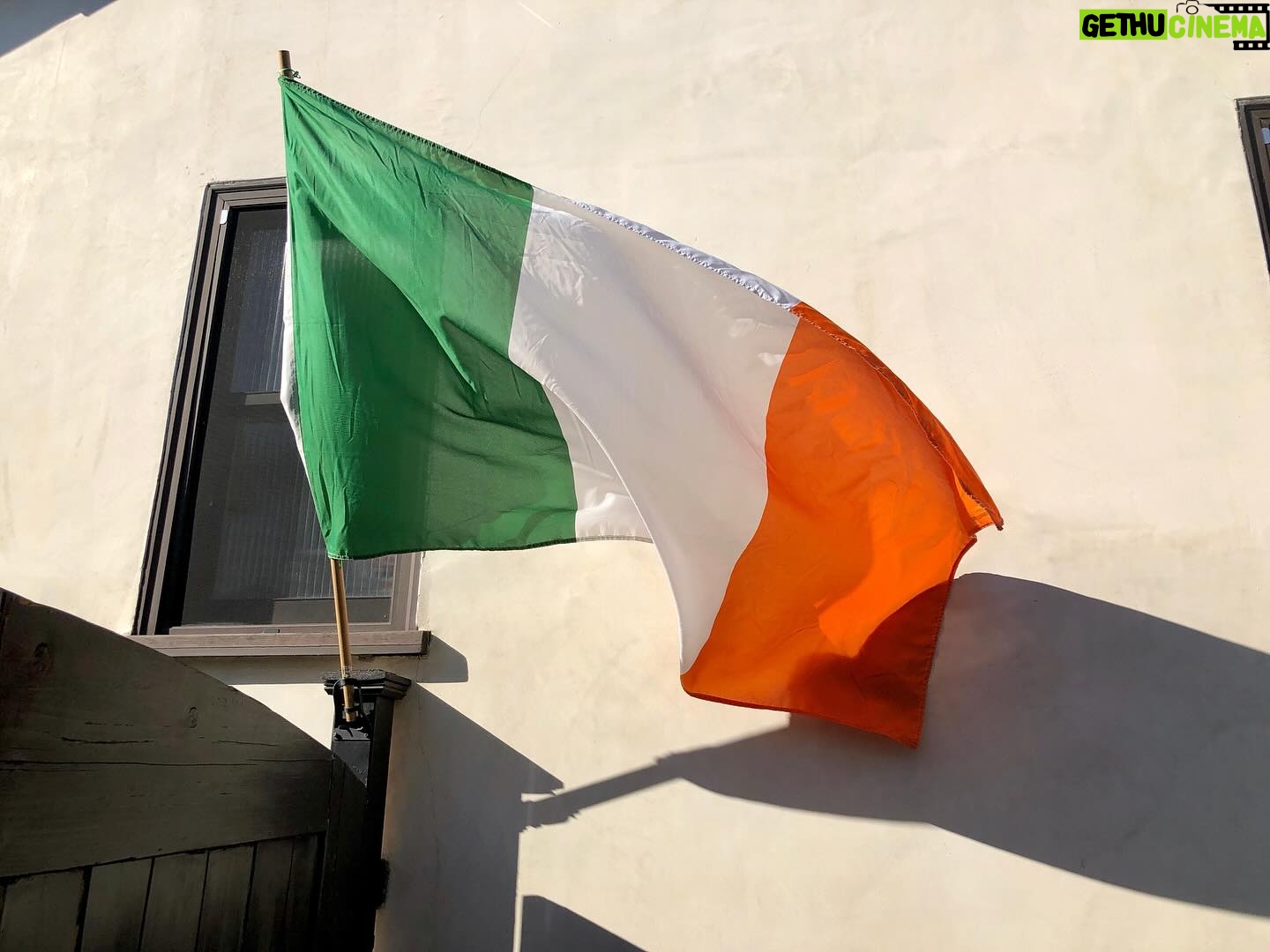 Seamus Dever - 1.9K Likes - Happy St. Patrick’s Day, everyone (but especially you Irish people) 🍀