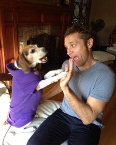 Seamus Dever Instagram - Many of you knew the Legend that was Maizy the Beagle. It grieves us so much to tell you that she’s gone. She lived three lifetimes worth of dog lives. 17 years! 
We rescued you at Beagles and Buddies after you jumped in my lap and kissed my face, a signature Maizy move. She’s the only dog that I got to pick as a pet ever. She was “my fault” as we’d sometimes say. But what a life she had. 
She was a cover model for Life and Dog magazine, in a commercial for Best Friends Animal Sanctuary, 2nd place at the Race for the Rescues 5k run, she was on tv shows sets and even became a theatre dog at Laguna Playhouse. She had multiple backyards to get in trouble in and even once fulfilled her lifetime bloodlust goal of catching a squirrel. 
I have many scars on my body as the result of our disagreements concerning “what are you eating?” I guess I’m happy that I have those scars to remember her now. But she also healed me many times in ways she could never understand. 
She wasn’t a good girl but she did everything Maizy style. And maybe it’s better to be a one of a kind, original than be a good girl. Godamn it but we miss her so.