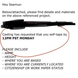 Seamus Dever Instagram - Casting breaking rules already