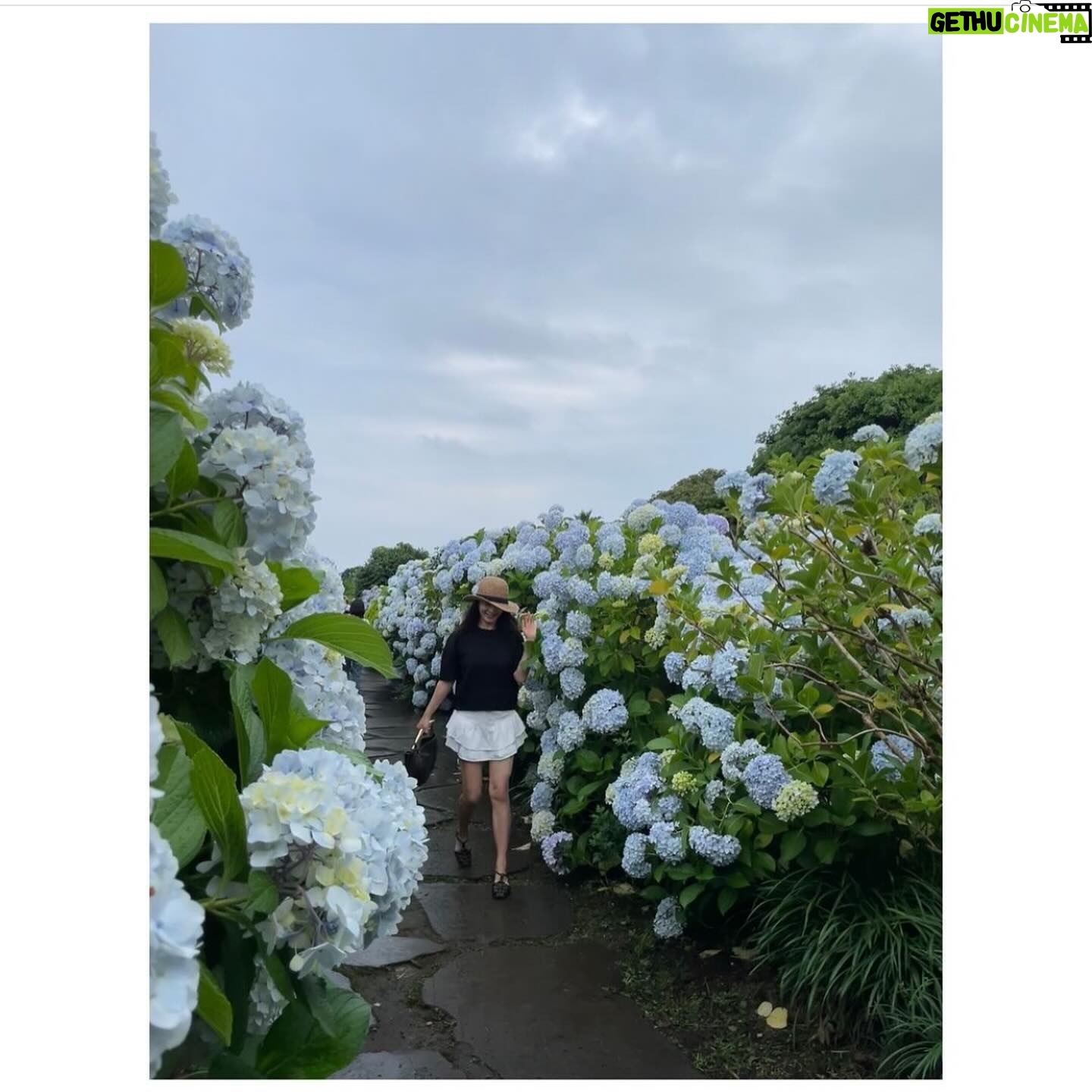 Sean - 14.7K Likes - 💜
혜영이가 제일 좋아하는 꽃 수국
내가 제일 좋아하는 꽃 혜영이
@hydrangea_garden