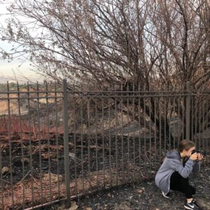 Sean Astin Instagram - Bella surveying the charred landscape behind our community. As we try to wrap our heads around the destructive power of fire, our thoughts are with everyone who has been displaced.

gofundme.com/woolsey-fire-support

#woolseyfire #californiafires