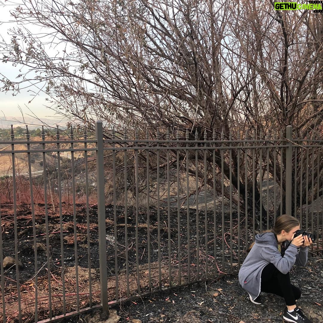 Sean Astin - 11.3K Likes - Bella surveying the charred landscape behind our community. As we try to wrap our heads around the destructive power of fire, our thoughts are with everyone who has been displaced.
gofundme.com/woolsey-fire-support
#woolseyfire #californiafires