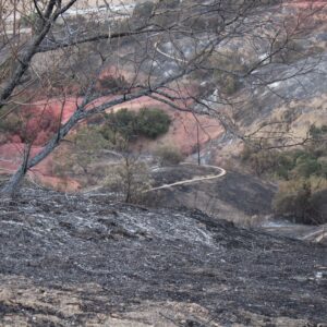 Sean Astin Instagram - Bella surveying the charred landscape behind our community. As we try to wrap our heads around the destructive power of fire, our thoughts are with everyone who has been displaced.

gofundme.com/woolsey-fire-support

#woolseyfire #californiafires