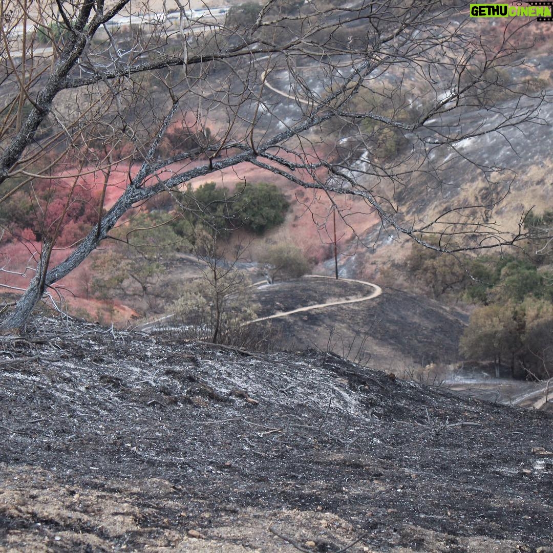 Sean Astin - 11.3K Likes - Bella surveying the charred landscape behind our community. As we try to wrap our heads around the destructive power of fire, our thoughts are with everyone who has been displaced.
gofundme.com/woolsey-fire-support
#woolseyfire #californiafires