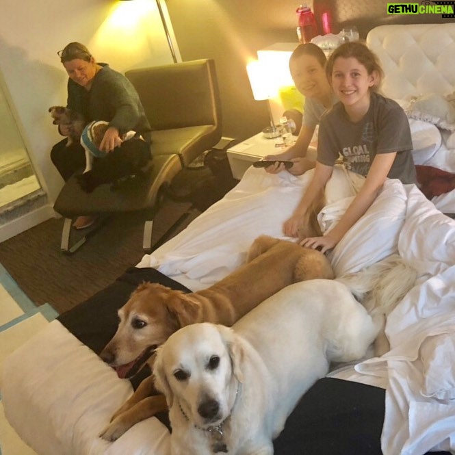 Sean Astin - 22.2K Likes - good spirits as we wait out the evacuation...in awe watching mother nature’s power and the extraordinary professionalism of our fire fighters & law enforcement. We are so grateful for their bravery. So much love and strength to all of our friends, neighbors & all affected as we ride it out together.
I set up this go fund me right when the fire started. It makes me feel good thinking about paying your goodwill forward after it’s over.
https://www.gofundme.com/woolsey-fire-support