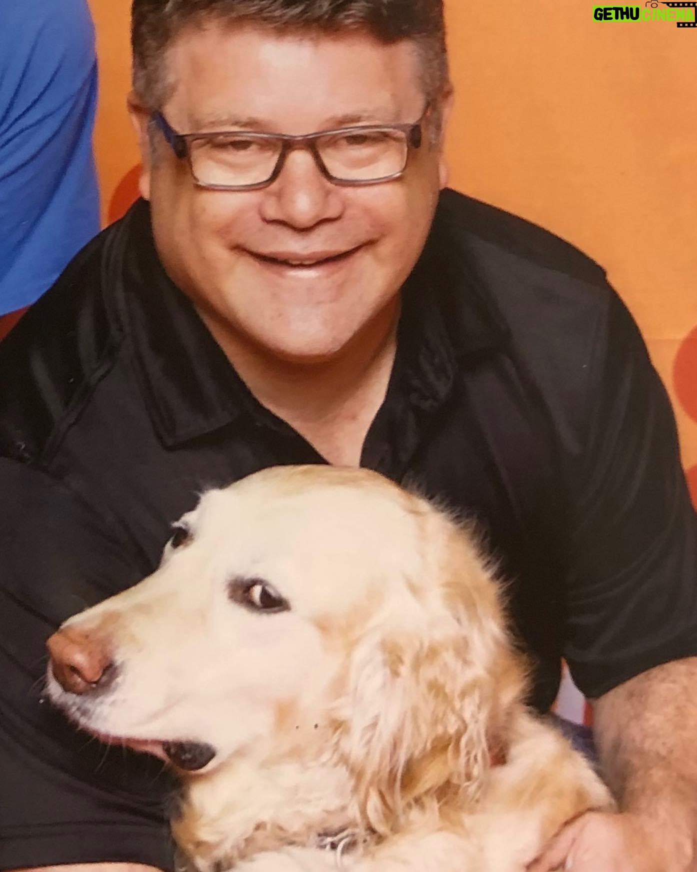 Sean Astin - 23.7K Likes - Caption this!!! @superservicedog #Savi
Owner @itkasia