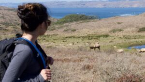Sean Fujiyoshi Instagram - Had a crazy and an amazing adventure hiking with this one! We were pooping our pants when we had to walk through a herd of elk blocking our trail but it's something I'll never forget. Thank you sweetie for taking me! #pointreyes