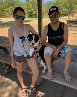 Sean Fujiyoshi Instagram - Welcome to the family @beauthebordercollie_ ! 🐶 #bordercollie