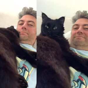 Sean Gunn Instagram - I happened to be taking a nap selfie with Busy when my wife sneezed in the other room.
#caturday #whatthehellwasthatman