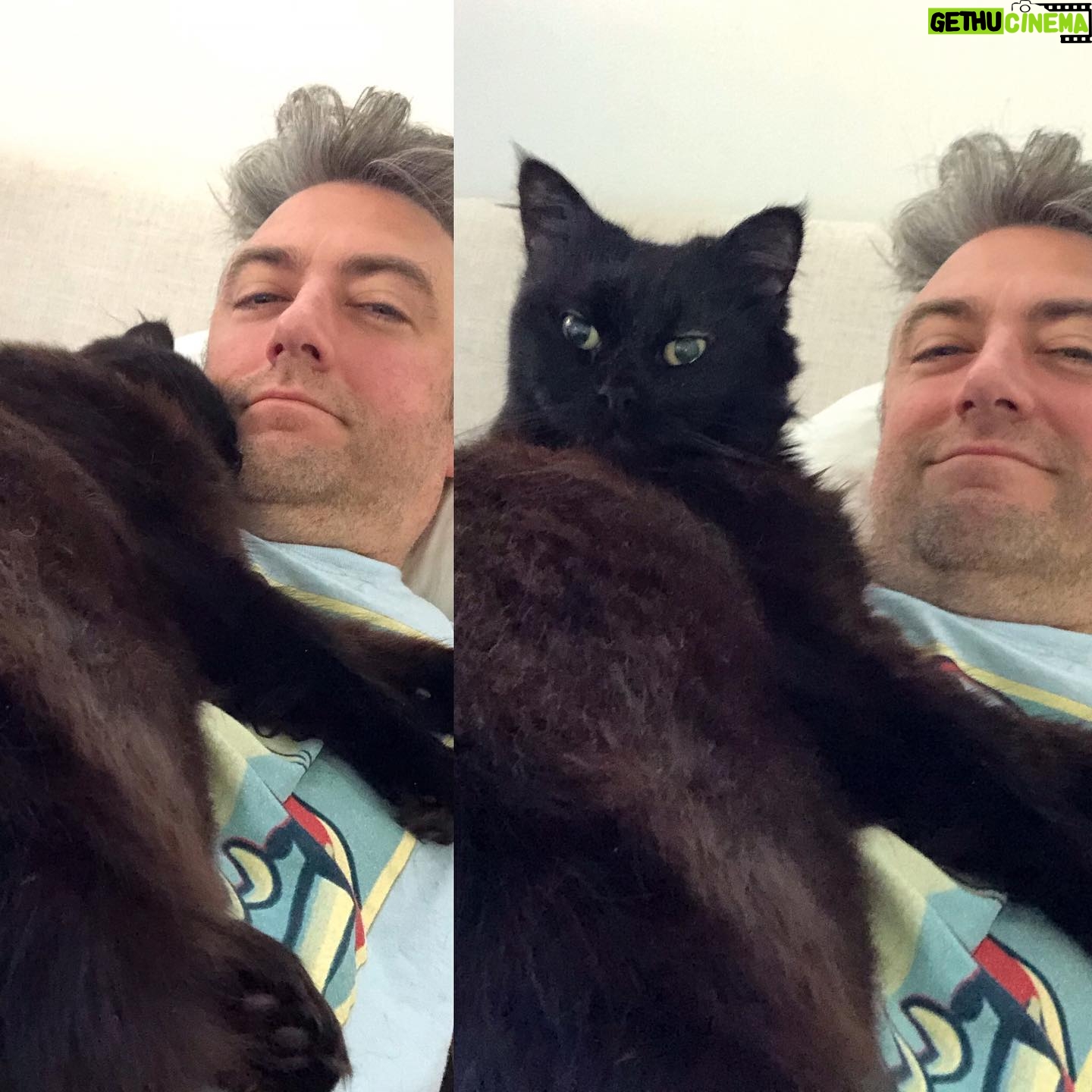 Sean Gunn - 20.5K Likes - I happened to be taking a nap selfie with Busy when my wife sneezed in the other room.
#caturday #whatthehellwasthatman