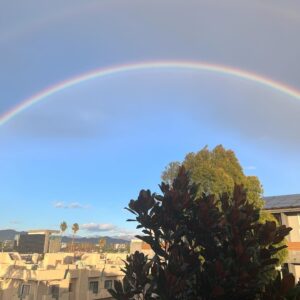 Sean Kanan Instagram - Just saw this outside my windo. #gratitude